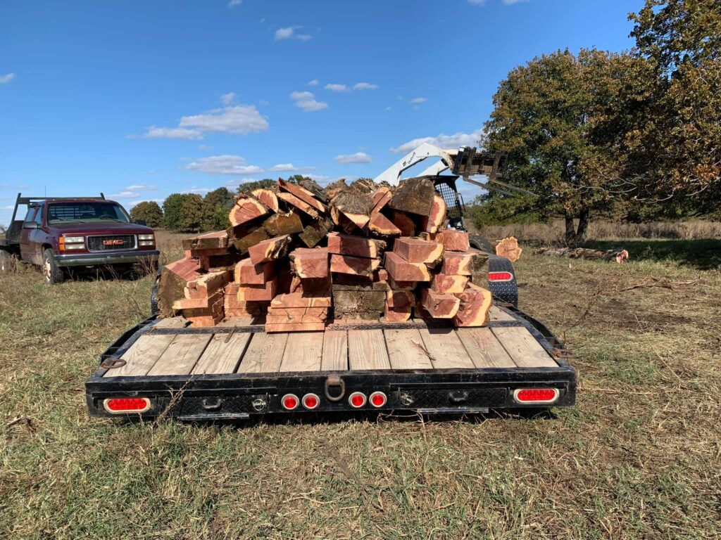 Agriculture - Bark to Board