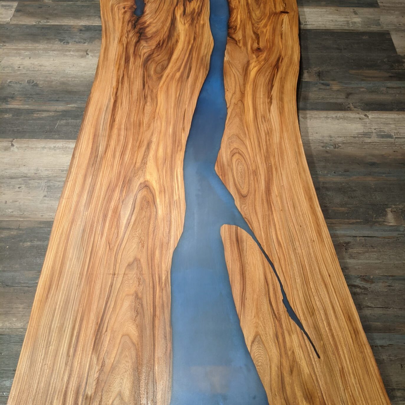 American Red Elm